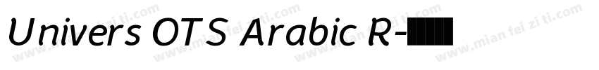 Univers OTS Arabic R字体转换
